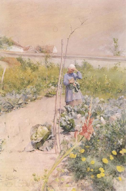 Carl Larsson In the Kitchen Garden Norge oil painting art